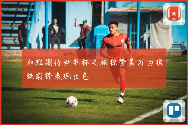 加维期待世界杯之旅称赞莱万为顶级前锋表现出色