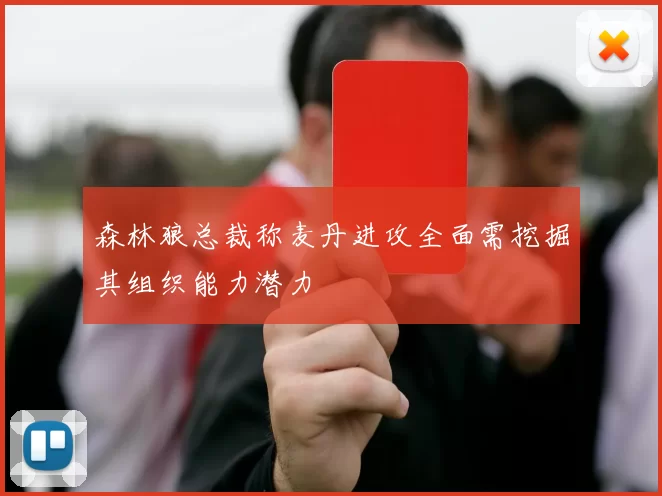 森林狼总裁称麦丹进攻全面需挖掘其组织能力潜力