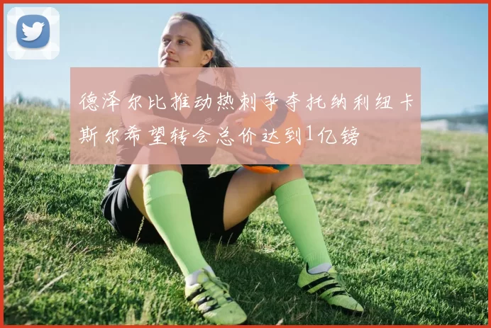 德泽尔比推动热刺争夺托纳利纽卡斯尔希望转会总价达到1亿镑